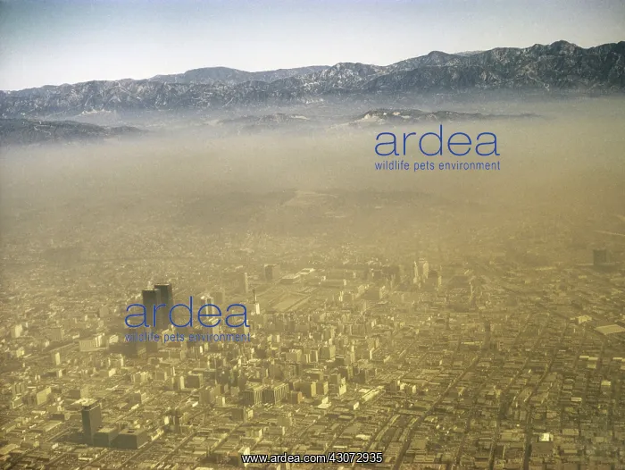 : Smog Over LA : Smog Over LA