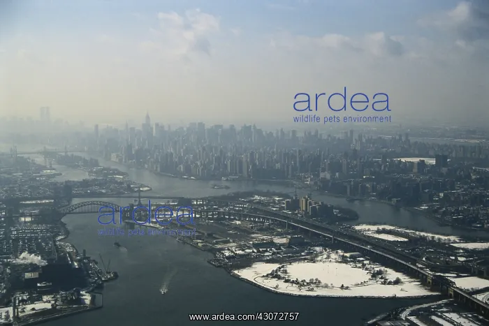: Smog Over Manhattan : Smog Over Manhattan