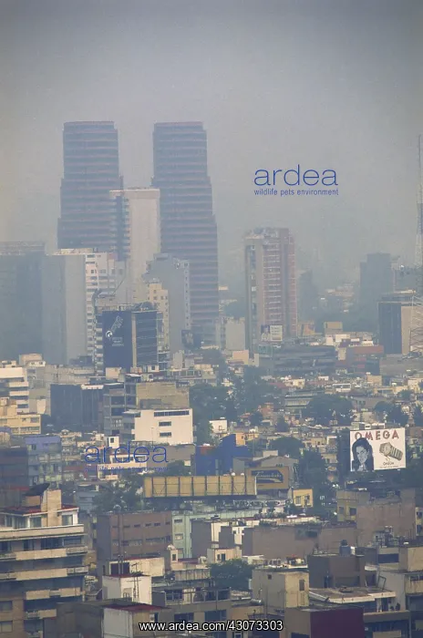 : Smog in Mexico City : Smog in Mexico City