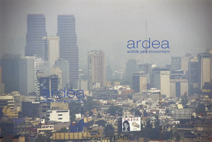 : Smog in Mexico City : Smog in Mexico City