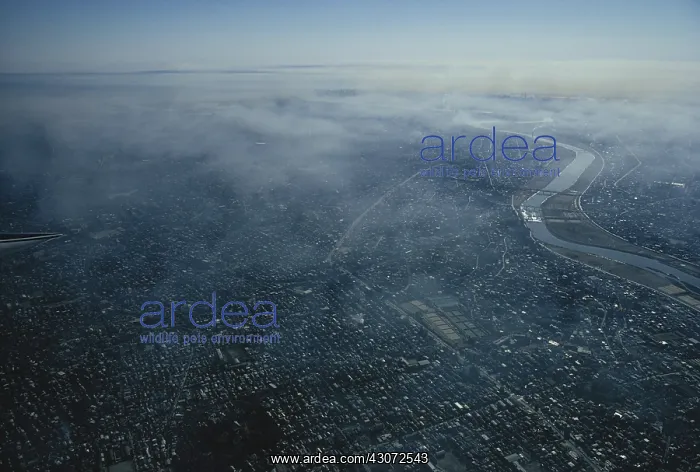 : Smog over Tokyo : Smog over Tokyo