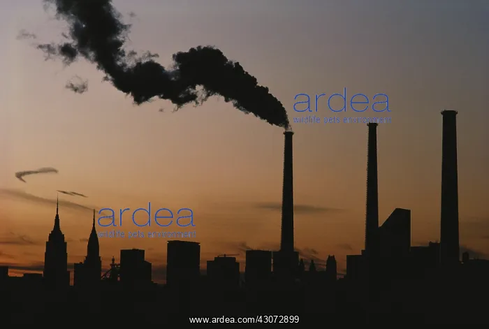 : Smoke from Electricity Plant : Smoke from Electricity Plant