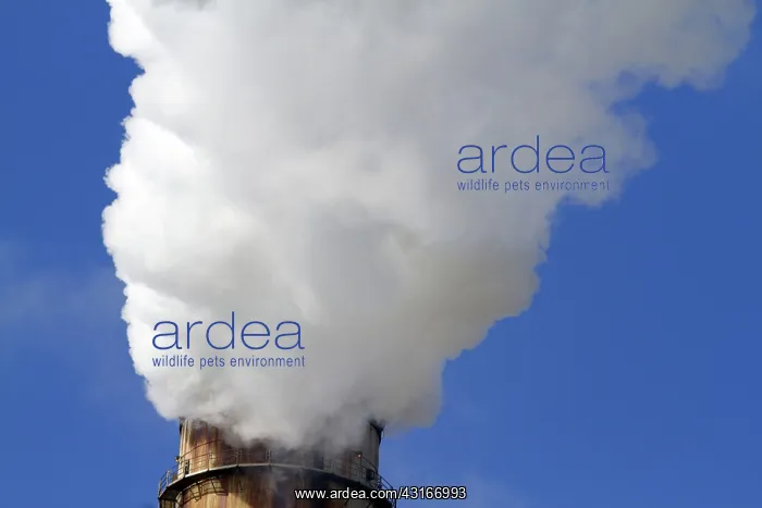 : Smoke Emissions : Smoke Emissions