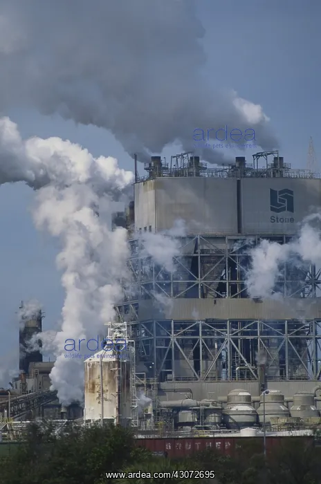 : Smoke Pollution : Smoke Pollution