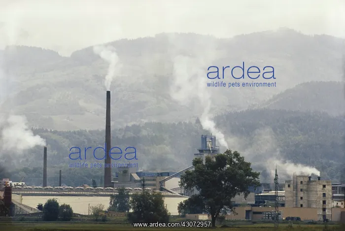 : Smoke Pollution, Achern, Germany : Smoke Pollution, Achern, Germany