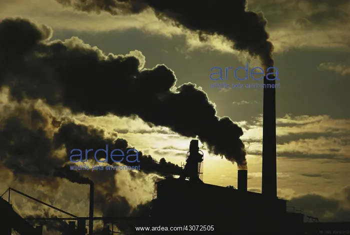 : Smoke Stacks : Smoke Stacks