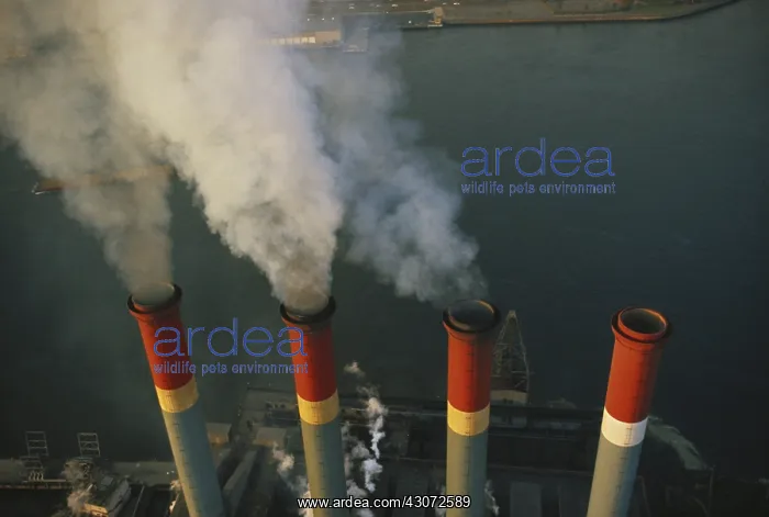 : Smoke Stacks : Smoke Stacks