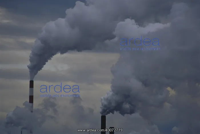 : Smoke Stacks : Smoke Stacks
