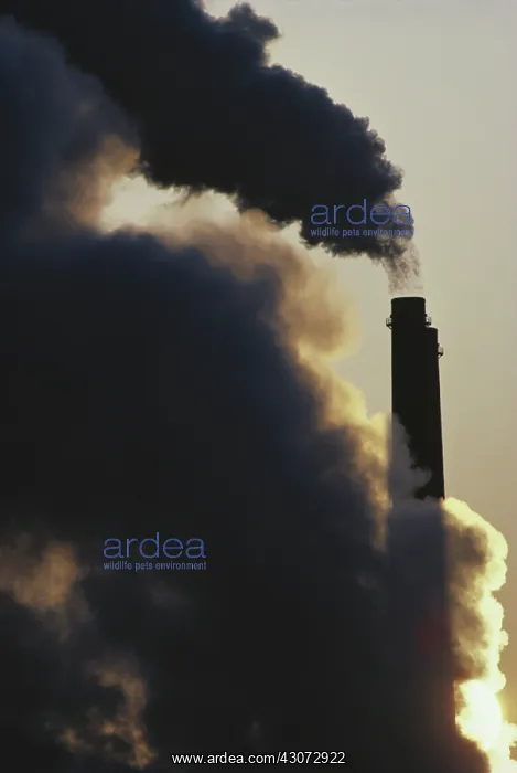 : Smoke Stacks from Power Plant : Smoke Stacks from Power Plant