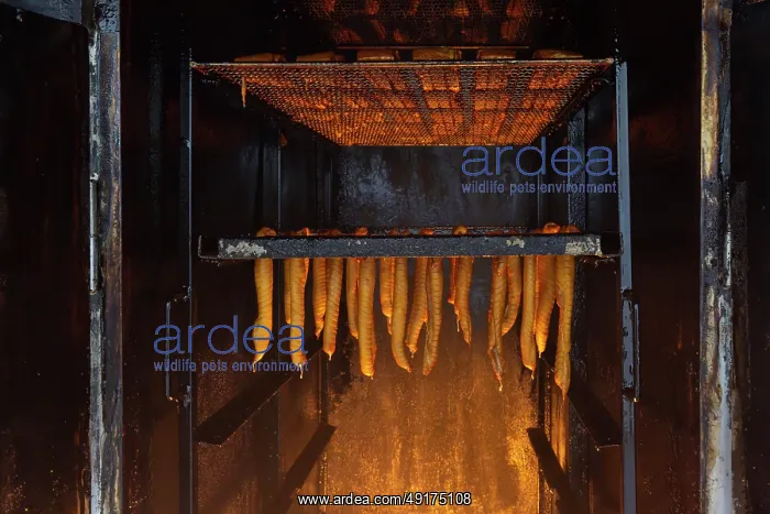 : Smoked fish : Smoked fish