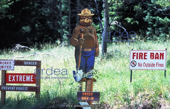 : Smokey the Bear : Smokey the Bear