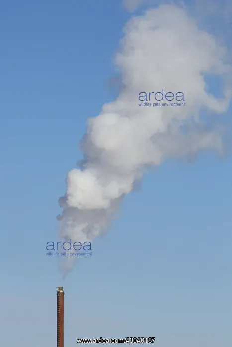  : Smoking chimney stack - Dalarna, Sweden