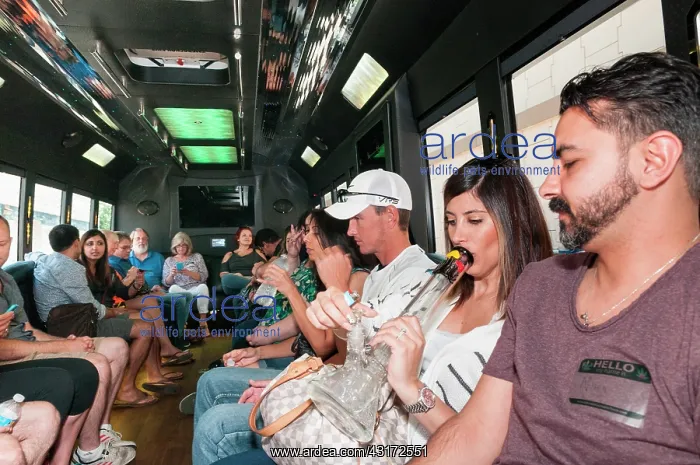 : Smoking marijuana on a cannabis bus tour. Denver : Smoking marijuana on a cannabis bus tour. Denver