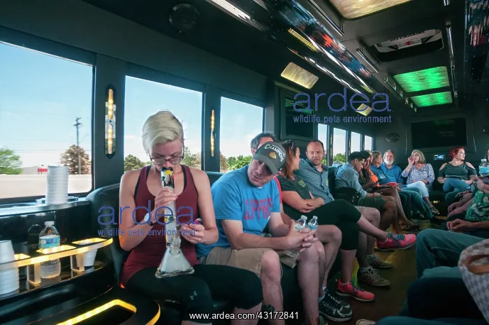: Smoking marijuana on a cannabis bus tour. Denver : Smoking marijuana on a cannabis bus tour. Denver