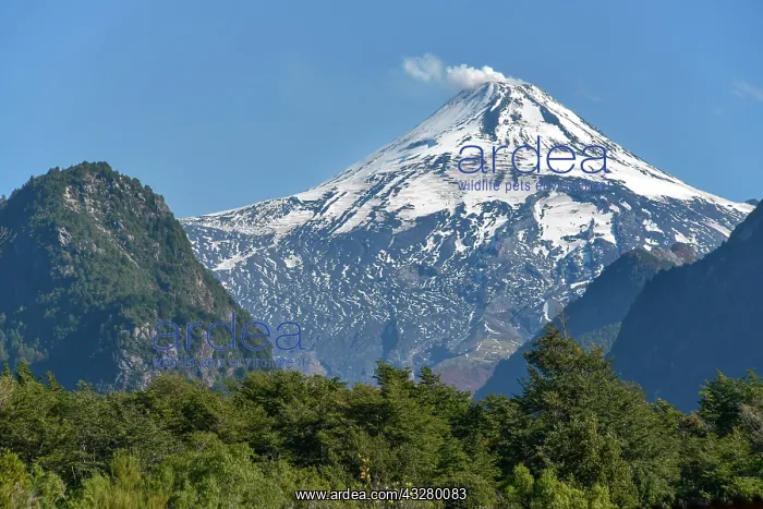 : Smoking and snow-covered volcano Villarrica, Pucon : Smoking and snow-covered volcano Villarrica, Pucon