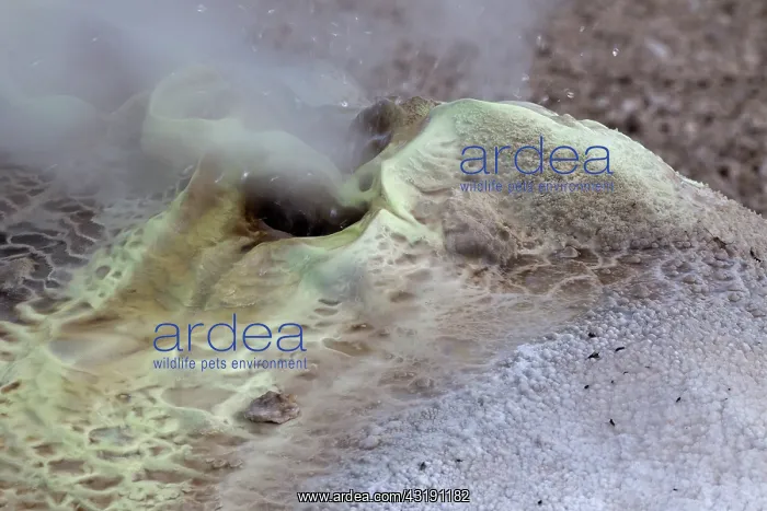 : Smoking sulphur source, Iceland, Hveravellir : Smoking sulphur source, Iceland, Hveravellir