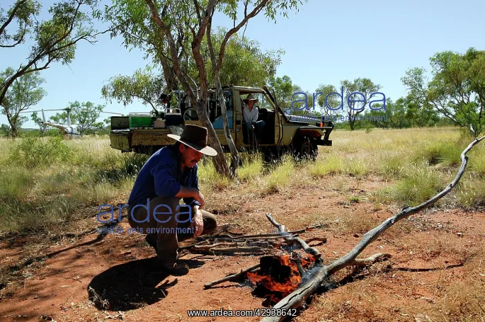 : 'SmokoI- morning tea during mustering.Bushy Park : 'SmokoI- morning tea during mustering.Bushy Park