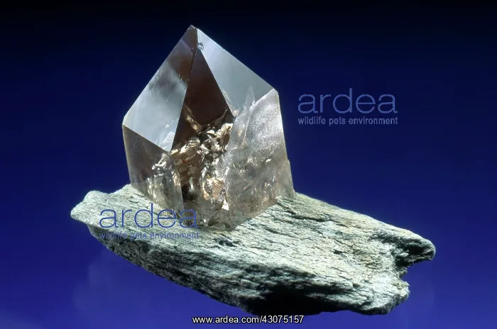 : Smoky Quartz : Smoky Quartz