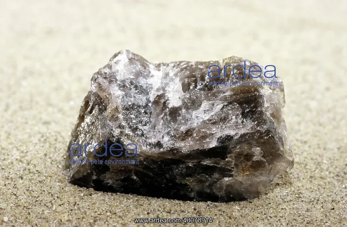 : Smoky Quartz : Smoky Quartz