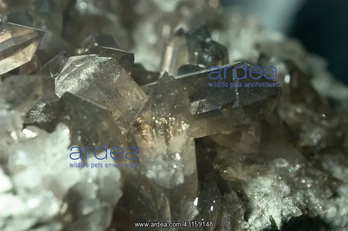 : Smoky Quartz : Smoky Quartz