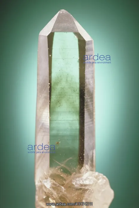 : Smoky quartz : Smoky quartz