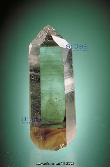 : Smoky quartz : Smoky quartz