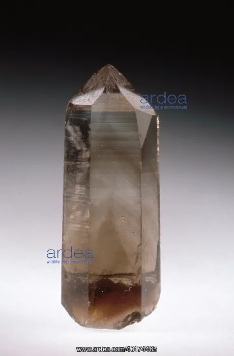 : Smoky Quartz : Smoky Quartz