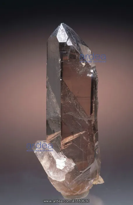 : Smoky Quartz : Smoky Quartz