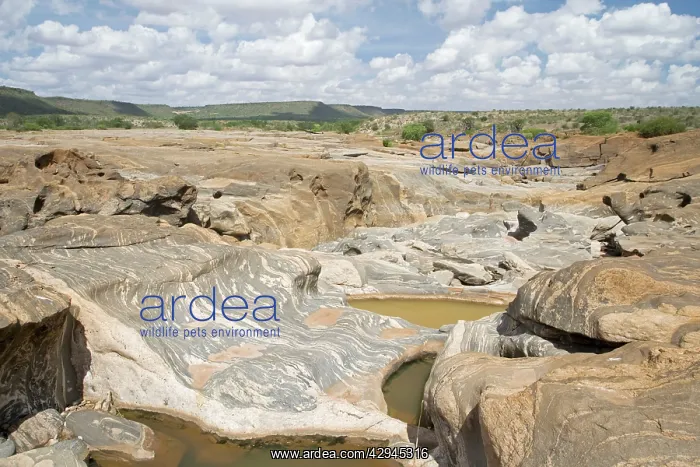 : Smooth eroded rocks below Lugard Falls on Galana River : Smooth eroded rocks below Lugard Falls on Galana River