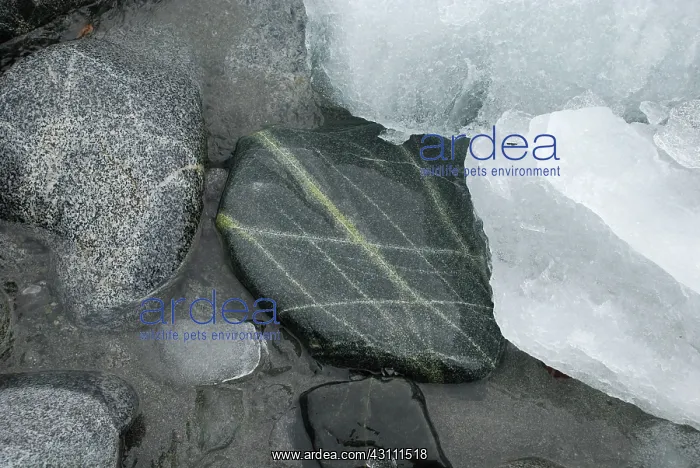 : Smooth Rocks : Smooth Rocks