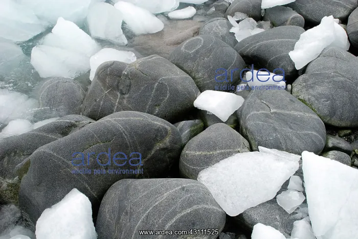: Smooth Rocks : Smooth Rocks