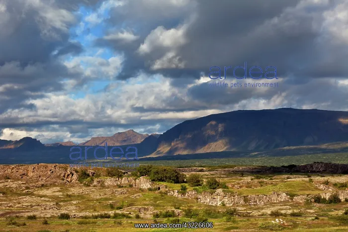 : Snaefellsnes Peninsula, Iceland : Snaefellsnes Peninsula, Iceland