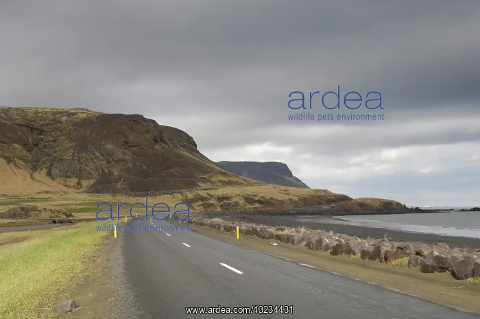: Snaefellsnes Peninsula, Iceland : Snaefellsnes Peninsula, Iceland
