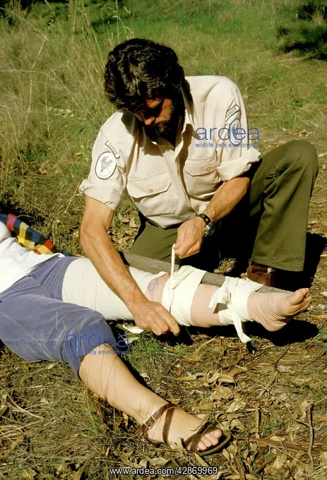 : Snake bite first aid : Snake bite first aid