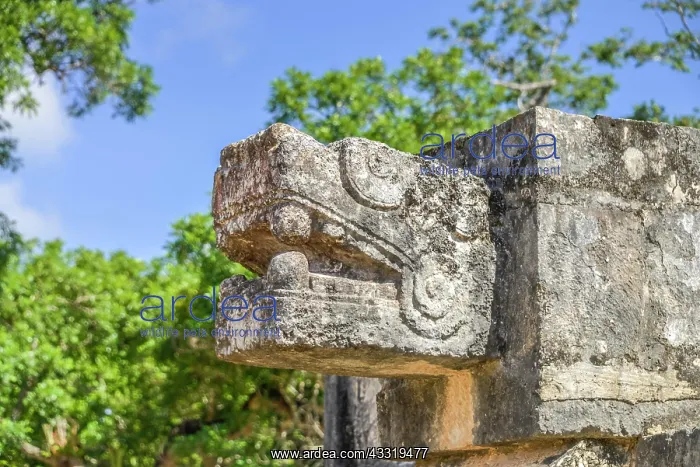 : Snake head, Platform of Venus Plataforma de Venus : Snake head, Platform of Venus Plataforma de Venus
