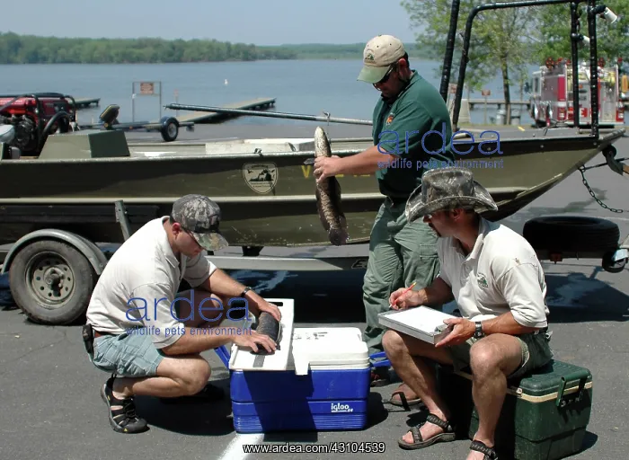 : Snakehead Survey : Snakehead Survey