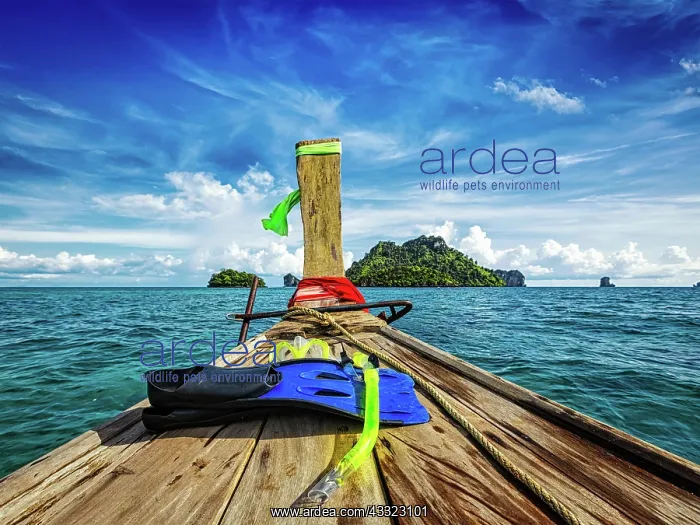 : Snorkeling set on boat heading to tropical island : Snorkeling set on boat heading to tropical island