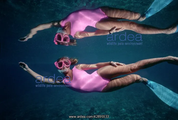  : Snorkeller - girl snorkelling, with reflection