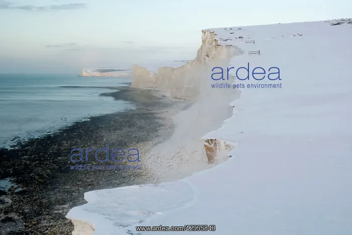 : Snow blowing off the cliffs near the Seven Sisters : Snow blowing off the cliffs near the Seven Sisters