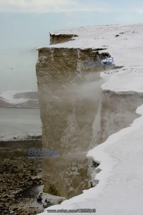 : Snow blowing off the cliffs of the Seven Sisters : Snow blowing off the cliffs of the Seven Sisters