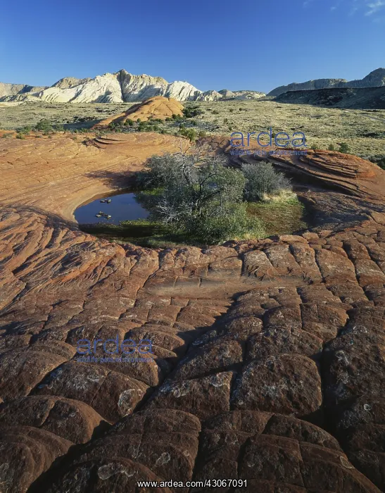  : Snow Canyon, Utah