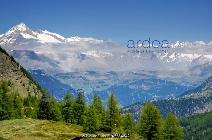 : Snow-capped mountain and clouds and blue sky in : Snow-capped mountain and clouds and blue sky in