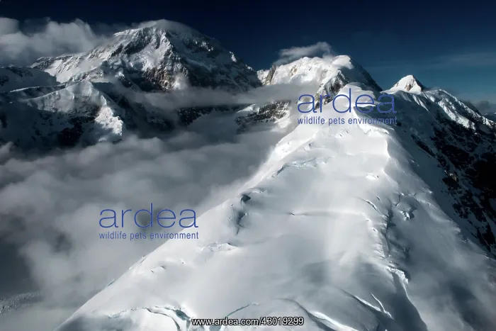 : Snow-capped Mountain Denali aerial view : Snow-capped Mountain Denali aerial view