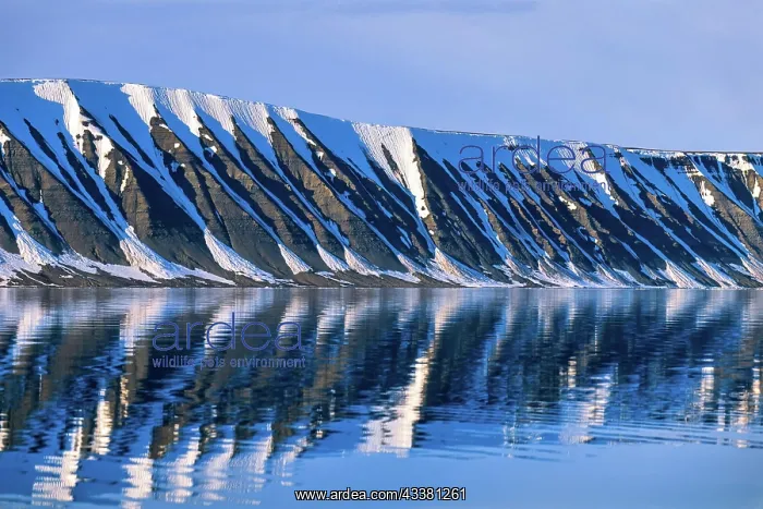 : Snow capped mountain by a fjord with water refle : Snow capped mountain by a fjord with water refle