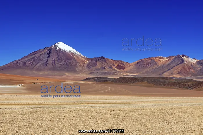 : A snow-capped mountain rises in front of a vast : A snow-capped mountain rises in front of a vast
