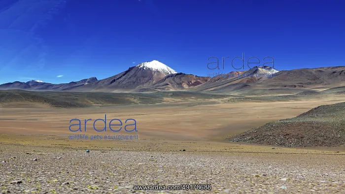 : A snow-capped mountain rises above a vast : A snow-capped mountain rises above a vast