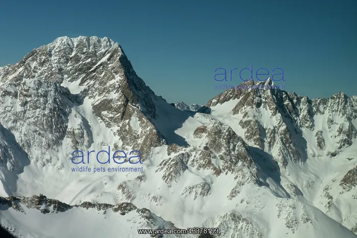 : Snow-capped mountains : Snow-capped mountains
