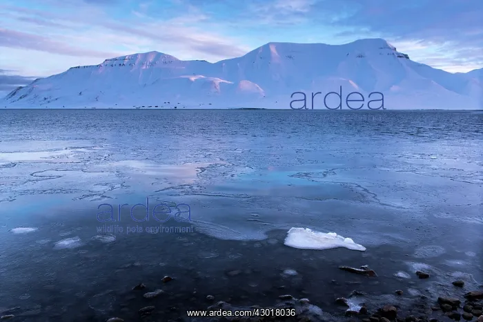  : Snow Capped Mountains at dawn