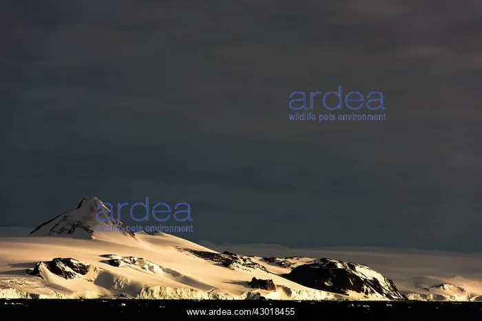  : Snow-capped Mountains at dawn