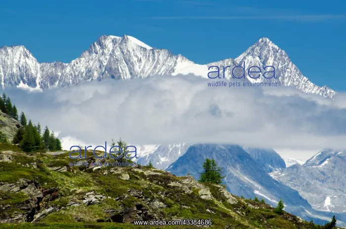 : Snow-capped mountains, Valais, Switzerland, Europe : Snow-capped mountains, Valais, Switzerland, Europe